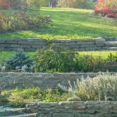 Aménager une butte de terre en pente avec des murets de pierre et des plantations variées, créant des terrasses verdoyantes.