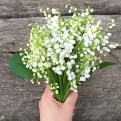 Un bouquet de muguet, symbole du 1er mai et porte-bonheur, tenu dans une main sur un fond de bois vieilli.