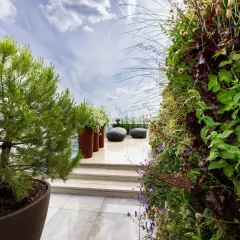 Aménagement terrasse avec pots : pin, mur végétal luxuriant, galets et ciel nuageux. Un coin de verdure suspendu.