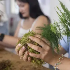 Mains façonnant une plante kokedama, une boule de mousse verte avec des feuilles délicates.