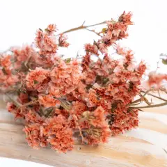 Un bouquet de statice fleur séchée, aux teintes orangées et rosées, repose sur un support en bois clair.
