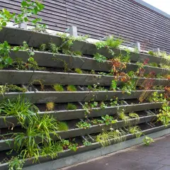 Un mur végétal moderne avec des plantes variées dans des bacs en béton. Un système d'irrigation est visible. Idéal pour savoir comment faire un mur végétal.