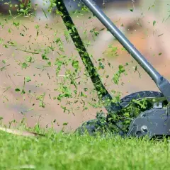 Le scarificateur de pelouse en action, projetant des brins d'herbe coupée dans les airs.