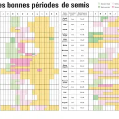 Tableau du calendrier potager indiquant les périodes de semis et de récolte pour divers légumes, de janvier à décembre.