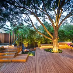 Un grand arbre est mis en valeur par un éclairage subtil, avec une **bordure autour de l'arbre** intégrée dans une terrasse en bois moderne.