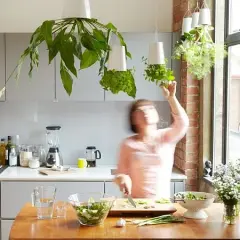 Une femme cueille des herbes aromatiques dans des pots suspendus, une plante pour cuisine idéale pour un repas frais.