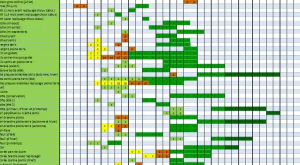 Calendrier d'association et de semis pour un potager, indiquant les périodes de plantation et de récolte pour divers légumes.