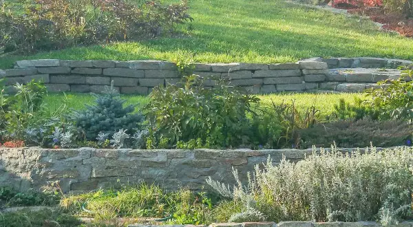 Aménager une butte de terre en pente avec des murets de pierre et des plantations variées, créant des terrasses verdoyantes.