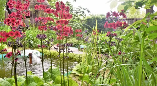 Un jardin luxuriant avec des plantes vertes d'extérieur, des fleurs roses vives et des graminées près d'un petit bassin avec une fontaine.