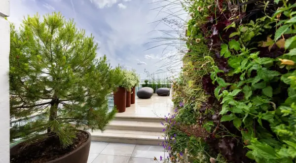 Aménagement terrasse avec pots : pin, mur végétal luxuriant, galets et ciel nuageux. Un coin de verdure suspendu.