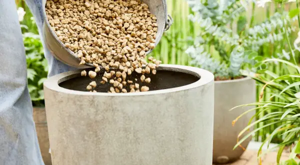Une personne verse des billes d'argile dans un pot en béton, préparant un substrat plante intérieur.