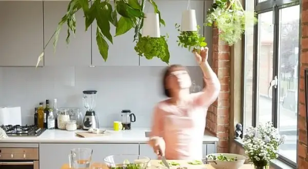Une femme cueille des herbes aromatiques dans des pots suspendus, une plante pour cuisine idéale pour un repas frais.