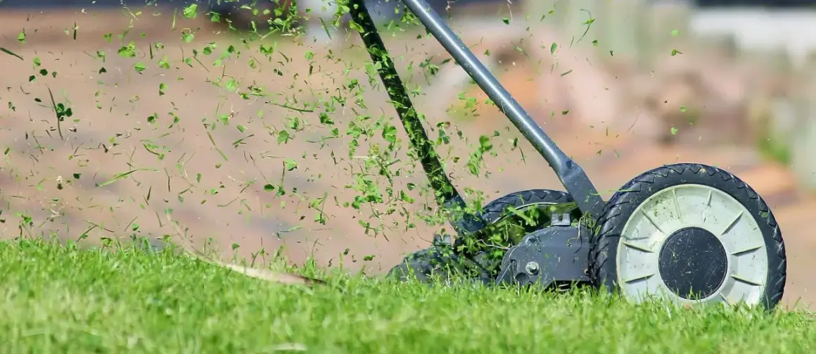Le scarificateur de pelouse en action, projetant des brins d'herbe coupée dans les airs.