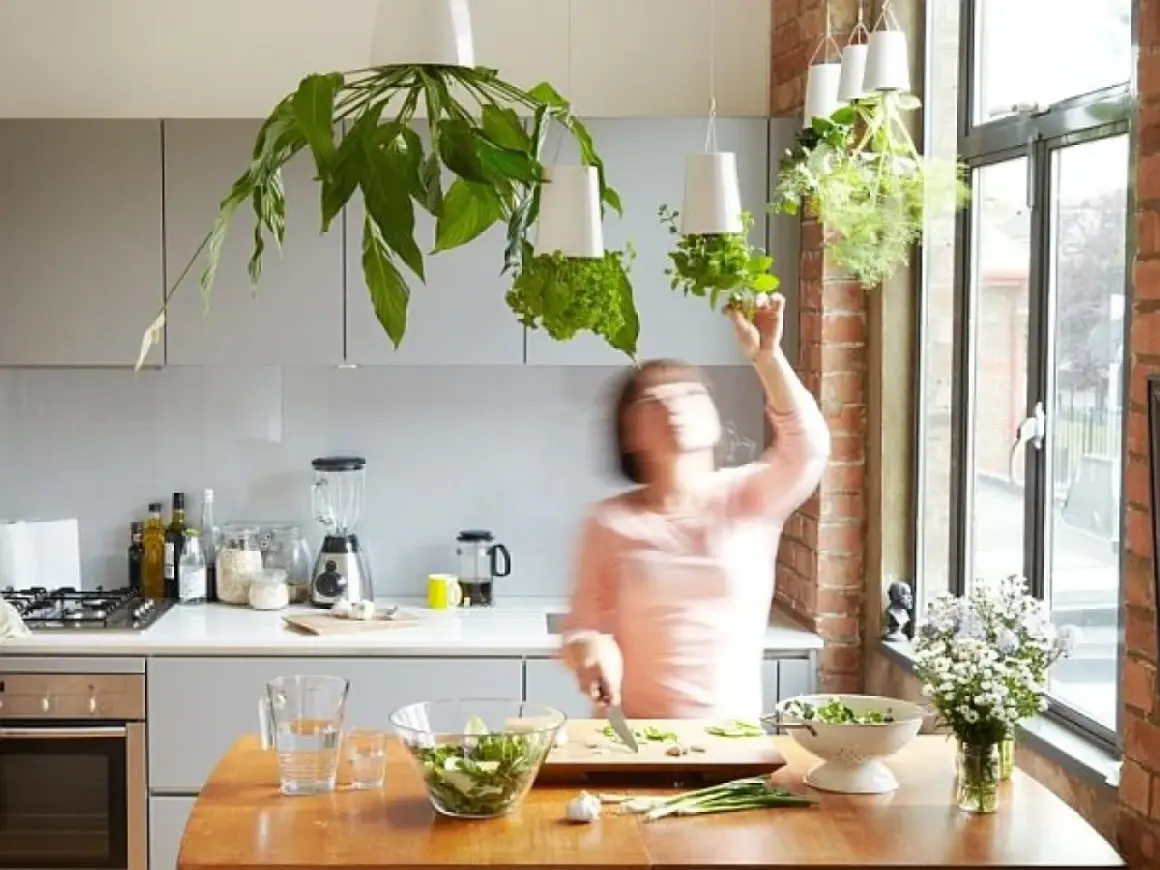 Une femme cueille des herbes aromatiques dans des pots suspendus, une plante pour cuisine idéale pour un repas frais.