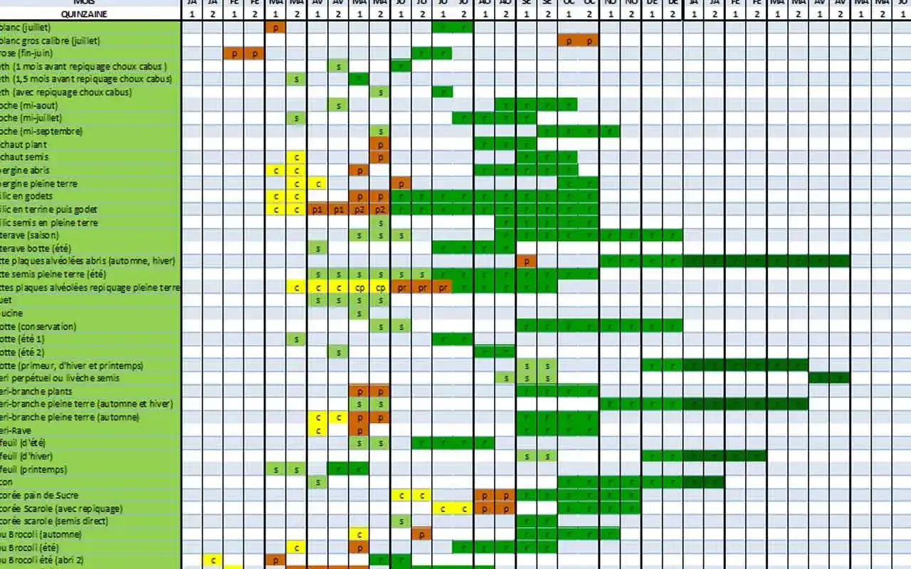 Association de légumes au potager - les duos faciles à tester