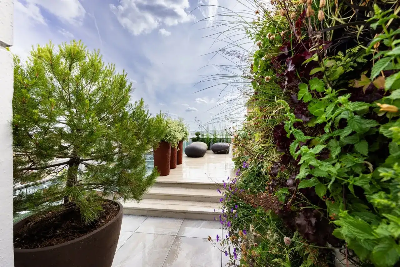 Terrasse végétalisée - bien choisir ses pots et ses plantes