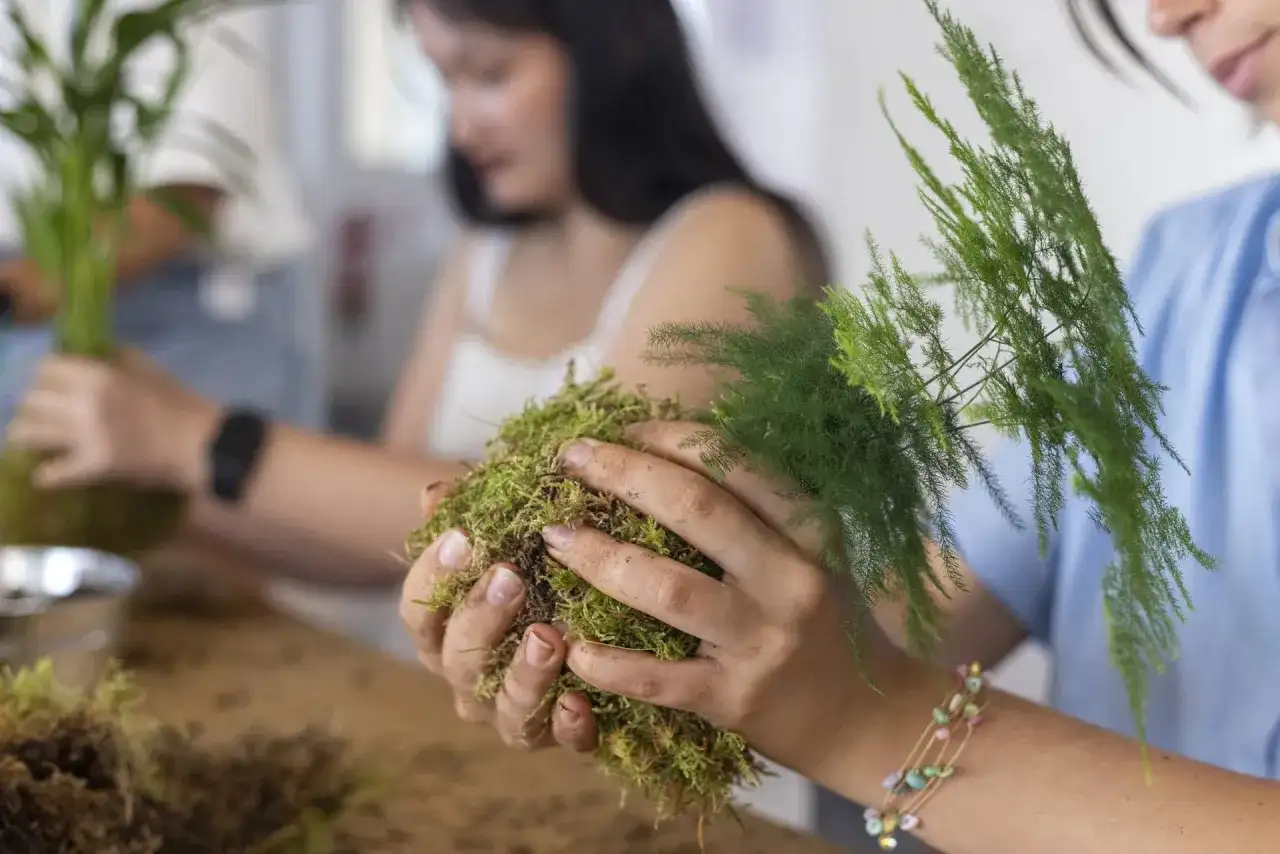 Kokedama d’intérieur - les bons gestes pour le faire durer