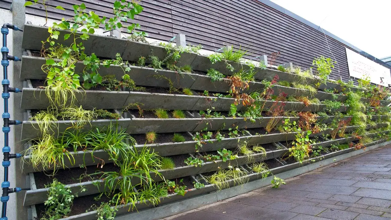 Comment créer un mur végétal durable chez soi ?