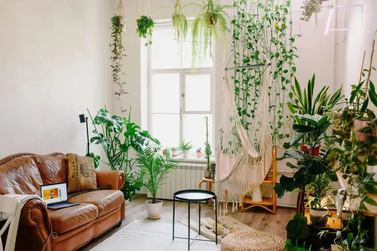 Un salon baign&eacute; de lumi&egrave;re, une d&eacute;co salon plante verte luxuriante envahit l'espace. Hamac suspendu, canap&eacute; en cuir, et une profusion de verdure cr&eacute;ent un cocon apaisant.