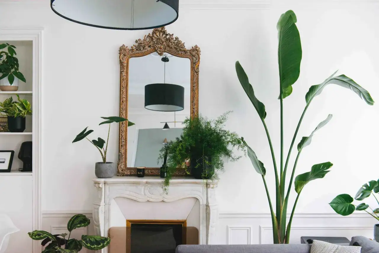 Un salon parisien baign&eacute; de lumi&egrave;re, orn&eacute; de plantes d'int&eacute;rieur luxuriantes. Un grand miroir dor&eacute; refl&egrave;te une lampe design.