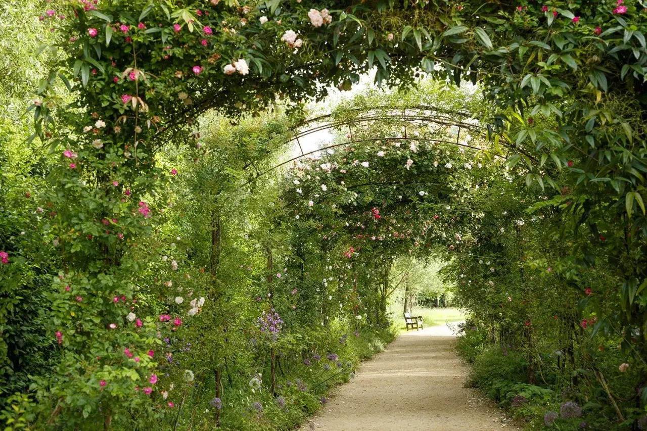 All&eacute;e bord&eacute;e d'une luxuriante plantation de rosiers grimpants, cr&eacute;ant une vo&ucirc;te florale rose et blanche. Un banc attend au bout du chemin.