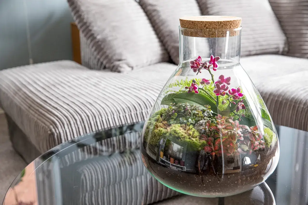 Terrarium avec orchidées et fougères, une belle plante d'intérieur et d'extérieur, sur une table en verre devant un canapé.