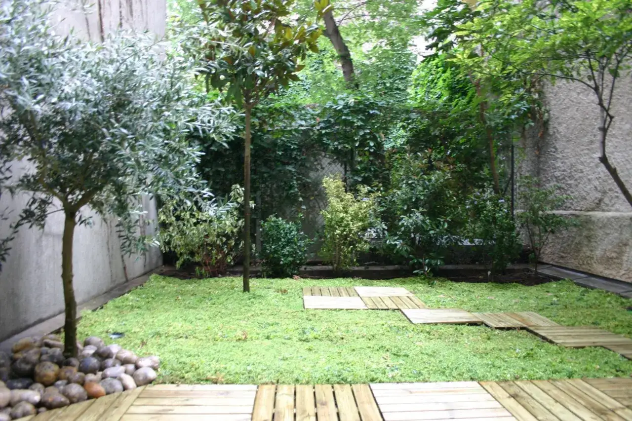 Un petit jardin de 10m2 aménagé avec un olivier, des pas japonais en bois et une pelouse dense. Un espace vert paisible.