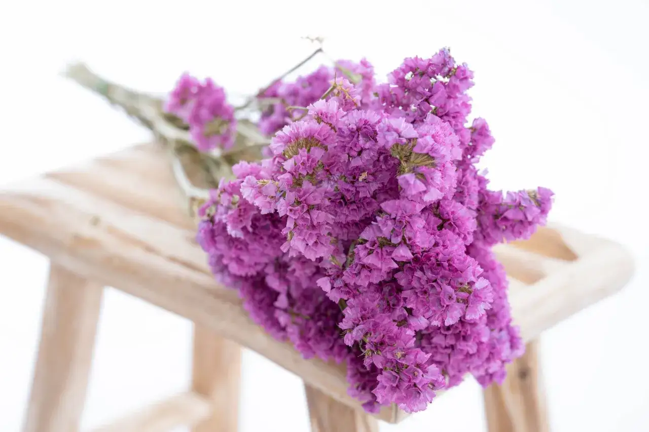 Un bouquet de statice fleur, d'un violet vibrant, repose sur un tabouret en bois clair.