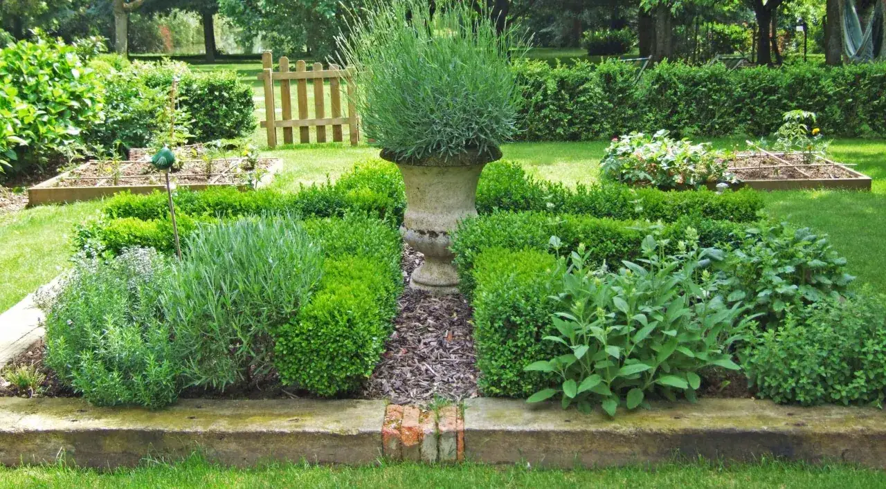 Un beau jardin pour faire un potager, avec des carr&eacute;s de culture, de la lavande, des buis taill&eacute;s et une urne ornementale.