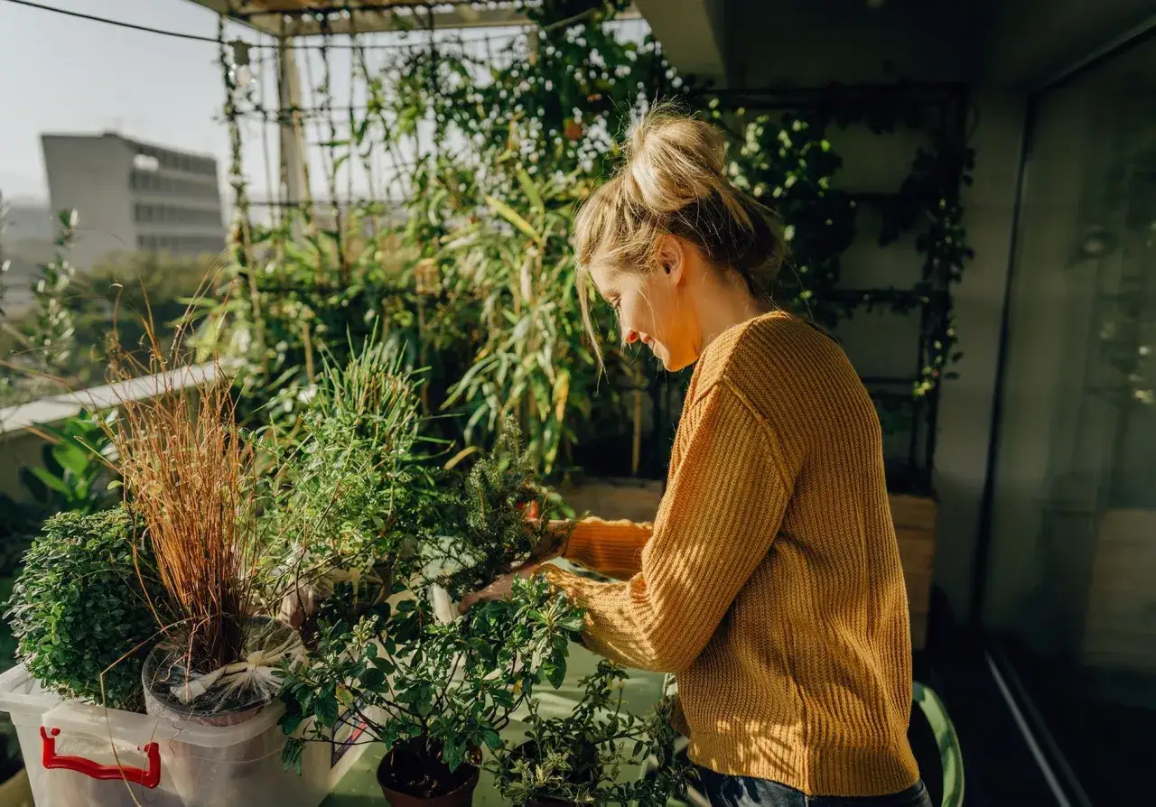 Une femme s'occupe de ses plantes sur son balcon, un espace verdoyant propice &agrave; la culture de coriandre et d'autres herbes aromatiques.