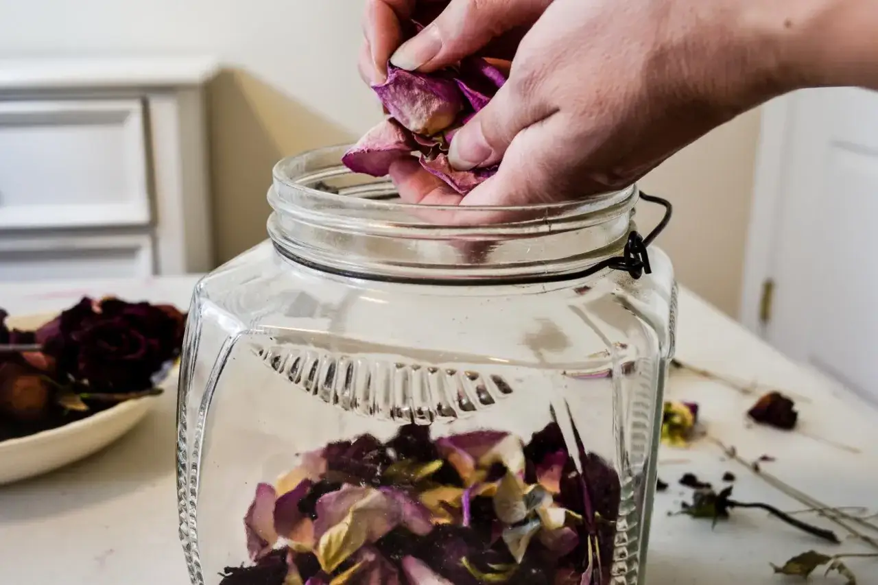 Des mains ajoutent des pétales de roses séchées dans un bocal en verre, une étape pour apprendre comment faire sécher une rose.