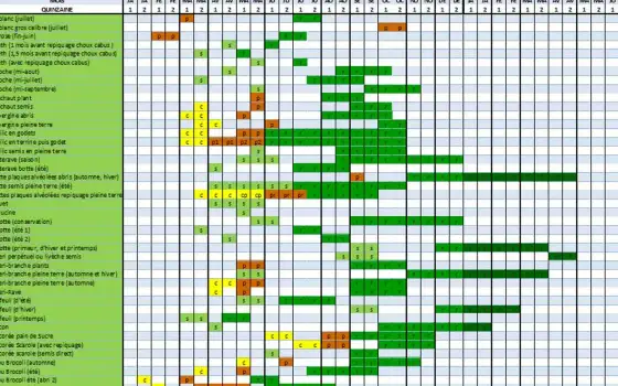 Association de légumes au potager - les duos faciles à tester