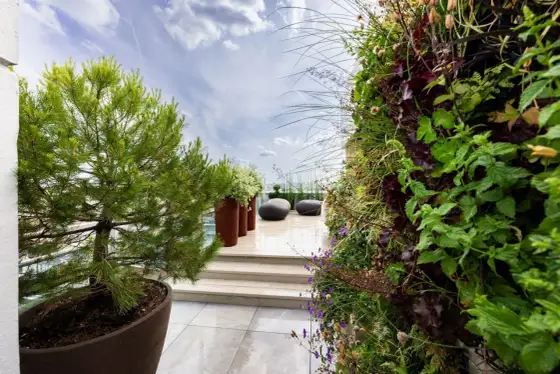 Terrasse végétalisée - bien choisir ses pots et ses plantes
