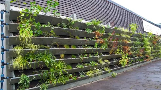 Comment créer un mur végétal durable chez soi ?