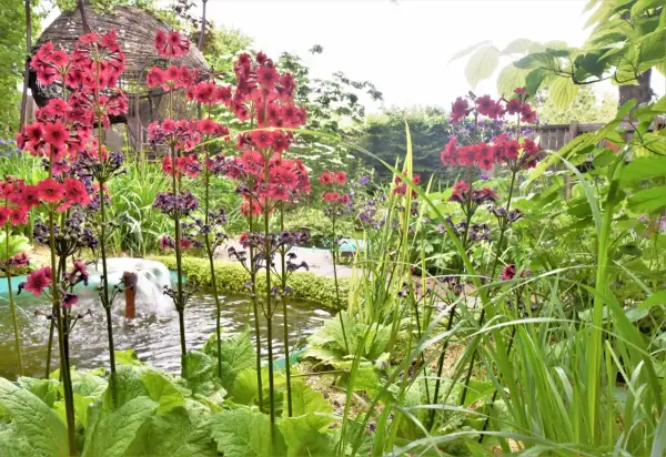 Un jardin luxuriant avec des plantes vertes d'extérieur, des fleurs roses vives et des graminées près d'un petit bassin avec une fontaine.