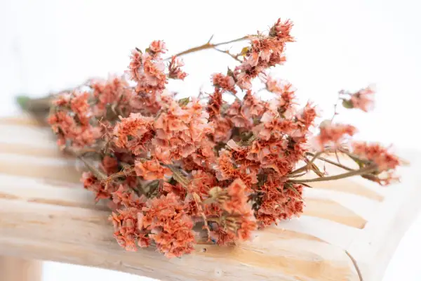 Un bouquet de statice fleur séchée, aux teintes orangées et rosées, repose sur un support en bois clair.