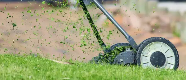 Le scarificateur de pelouse en action, projetant des brins d'herbe coupée dans les airs.